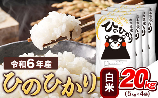 令和6年産  白米 ひのひかり 20kg 《7-14営業日以内に出荷予定(土日祝除く)》熊本県産 ふるさと納税 精米 ひの 米 こめ ふるさとのうぜい ヒノヒカリ コメ お米 おこめ 1553896 - 熊本県津奈木町