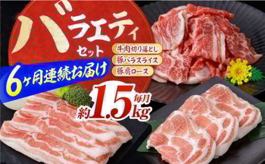 【6回定期便】お肉の定期便 バラエティセット (6ヵ月) 総計約9kg 国産 牛肉 切り落とし 豚肉 バラ スライス 【(有)山重食肉】 [ATAP116] 1838646 - 高知県高知市