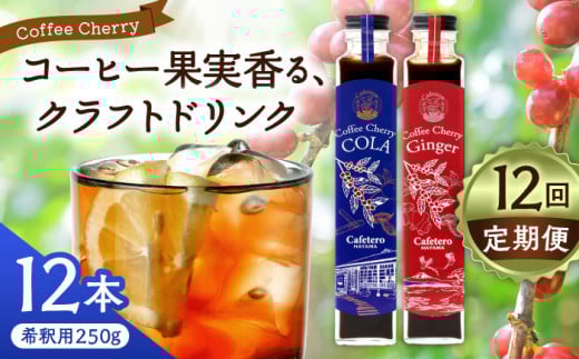 [先行予約][2025年7月中旬から順次発送][全12回定期便]カフェテーロ葉山 コーヒーチェリーコーラ 6本 コーヒーチェリージンジャー 6本/ コーラ エナジードリンク 酸味 コーヒー 神奈川県 葉山町 クラフトコーラ 天然 ドリンク 炭酸[合同会社エンディレクト] [ASBM021]