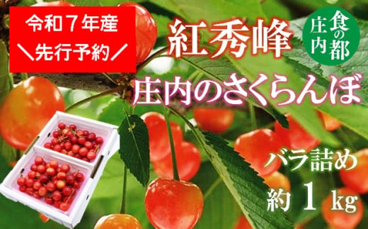 ★先行予約★食の都庄内　【令和7年産】庄内のさくらんぼ「紅秀峰」1kgバラ詰め※令和7年6月中下旬～7月上旬頃発送予定