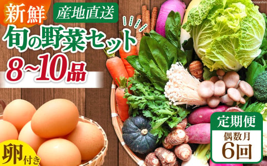 【6回偶数月コース】雲仙のめぐみ 旬の野菜セット (S)【卵6個付き】 8～10品目セット [長崎県農産品流通 長崎県 雲仙市 item1573] 野菜 定期 野菜セット フルーツ 果物 くだもの 卵 たまご