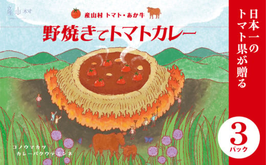 【年明け発送】産山村・トマト・あか牛　　野焼きでトマトカレー						 1896204 - 熊本県産山村