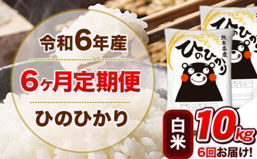 令和6年産 【6ヵ月定期便】 白米 ひのひかり 定期便 10kg 5kg×2袋《お申込み翌月から出荷開始》 熊本県産 精米 ひの 米 こめ ヒノヒカリ コメ お米 1582159 - 熊本県津奈木町