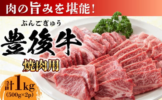 おおいた豊後牛 焼肉用 1kg(500g×2P) 日田市 / 株式会社MEAT PLUS　牛 うし 黒毛和牛 和牛 豊後牛 [AREI022] 1838539 - 大分県日田市