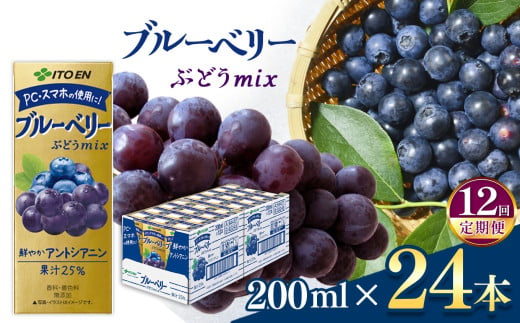 【定期便12回】紙ブルーベリーミックス200ml　24本入り 伊藤園   | ブルーベリーフルーツ ジュース ドリンク 飲料 健康 食品 長期常温可能 1ケース 長野県 松本市 ふるさと納税 1466319 - 長野県松本市