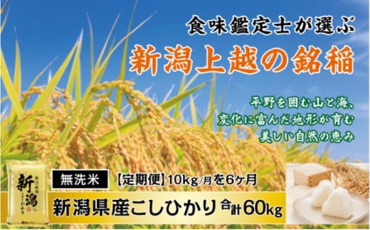 食味鑑定士厳選 無洗米 10kg 6か月定期便 新潟県上越市産コシヒカリ 1837777 - 新潟県上越市