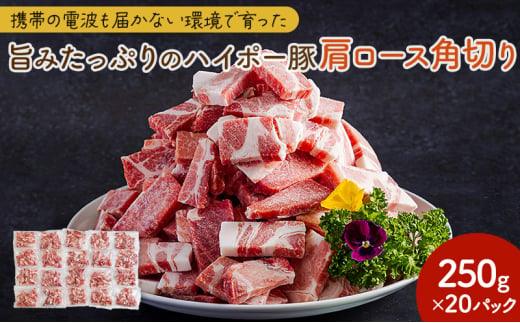 [№5681-0150]豚肉 山口県産 豚肩ロース 角切り 250g×20パック 小分けセット | 携帯の電波も届かない環境で育った旨みたっぷりのハイポー豚 豚 肉 お肉 ※配送不可:離島