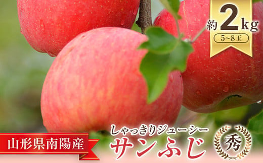 【令和7年産先行予約】 JA りんご 「サンふじ」 約2kg (5～8玉 秀) 《令和7年11月中旬～12月中旬発送》 『JA山形おきたま』 林檎 リンゴ 果物 フルーツ 山形県 南陽市 [1160-R7] 258314 - 山形県南陽市