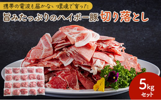 [№5681-0145]豚肉 山口県産 豚 切り落とし 5kgセット | 携帯の電波も届かない環境で育った旨みたっぷりのハイポー豚 豚 肉 お肉 ※配送不可:離島 1854681 - 山口県阿武町