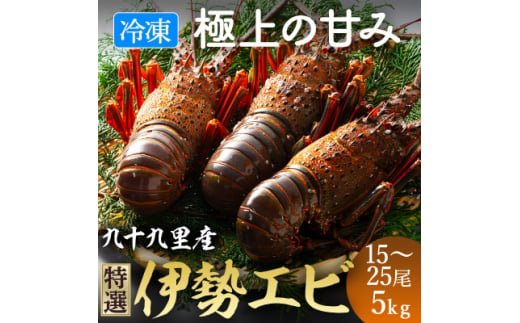 甘い!旨い!冷凍品とは思えない!活け〆リキッド冷凍伊勢海老(刺身用) 15～25尾で5kg【1578314】 1850047 - 千葉県旭市