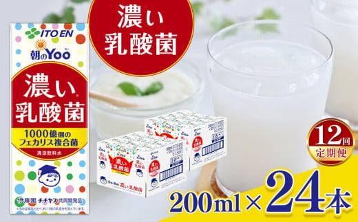 【定期便12回】朝のＹｏｏ濃い乳酸菌２００ml×２４本	 伊藤園   | 乳酸菌 ジュース ドリンク 飲料 健康 食品 長期常温可能 1ケース 長野県 松本市 ふるさと納税 1466339 - 長野県松本市