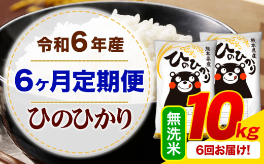 【6ヶ月定期便】令和6年産 無洗米 ひのひかり 定期便 10kg《お申込み月の翌月から出荷開始》令和6年産 熊本県産 ふるさと納税 精米 ひの 米 こめ ふるさとのうぜい ヒノヒカリ コメ お米