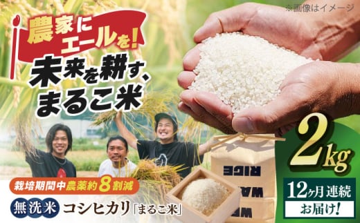 【全12回定期便】無洗米 コシヒカリ 滋賀県西浅井町産「まるこ米」2kg　滋賀県長浜市/ONE SLASH 株式会社[AQCZ015]  米 お米 白米 無洗米 こしひかり 2kg 地域 応援 定期便 1836993 - 滋賀県長浜市