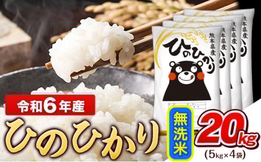 令和6年産 無洗米 ひのひかり 20kg《7-14日以内に出荷予定(土日祝除く)予定》令和6年産 熊本県産 ふるさと納税 無洗米 精米 ひの 米 こめ ふるさとのうぜい ヒノヒカリ コメ お米 おこめ 1411442 - 熊本県玉東町