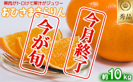 今村農園のおひさまきらりん 約10kg【秀品】  甘い オレンジ みかん ミカン 清美 10kg 12月発送 1月発送 先行予約 贈答 柑橘類 フルーツ ＜107-026_6＞