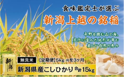 食味鑑定士厳選 無洗米 5kg 3か月定期便 新潟県上越市産コシヒカリ 1837778 - 新潟県上越市