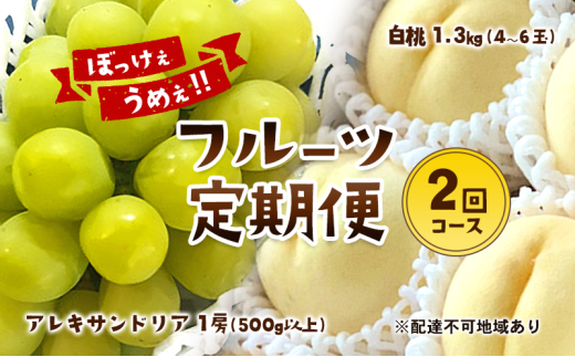 2025年 先行予約】 ぶどう 桃 ぼっけぇうめぇ フルーツ 定期便 2回 コース ( マスカットオブアレキサンドリア ・ 白桃 )《2025年7月-9月出荷》  岡山県産 フルーツ 果物 数量限定 里庄町 - 岡山県里庄町｜ふるさとチョイス - ふるさと納税サイト