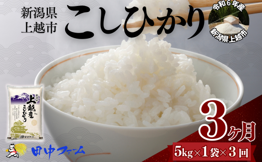 上越市産 新潟 コシヒカリ　5kg 3か月定期便  上越市 精米 米 コメ こしひかり ブランド米 1837798 - 新潟県上越市