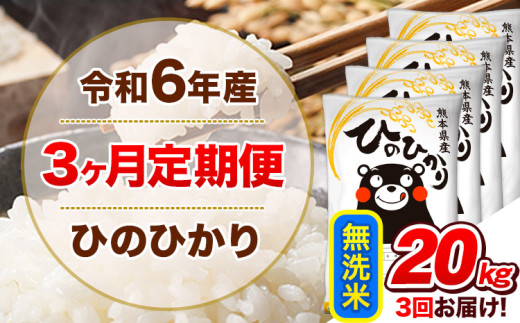 令和6年産 【3ヵ月定期便】 無洗米 ひのひかり 定期便 20kg 5kg×4袋《お申込み翌月から出荷開始》 熊本県産 精米 ひの 米 こめ ヒノヒカリ コメ お米 1582183 - 熊本県津奈木町