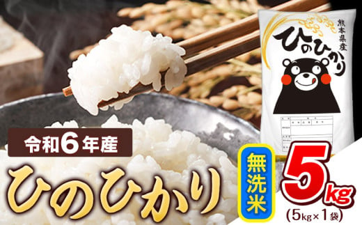 令和6年産  無洗米 ひのひかり 5kg 《7-14日以内に出荷予定(土日祝除く)》熊本県産 ふるさと納税 精米 ひの 米 こめ ふるさとのうぜい ヒノヒカリ コメ お米 おこめ 1553887 - 熊本県津奈木町