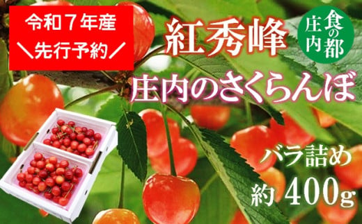 ★先行予約★食の都庄内　【令和7年産】庄内のさくらんぼ「紅秀峰」400gバラ詰め※令和7年6月中下旬～7月上旬頃発送予定