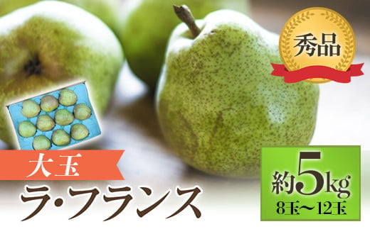 【令和7年産先行予約】 JA 大玉 ラ・フランス 約5kg ( 8～12玉 秀) 《令和7年11月上旬～12月上旬発送》 『JA山形おきたま』 洋梨 果物 フルーツ 山形県 南陽市 [718-R7] 238392 - 山形県南陽市