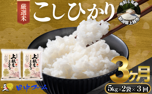 上越市産 新潟 特別米コシヒカリ　5kg×2 3か月定期便  上越市 精米 米 コメ こしひかり ブランド米 1837783 - 新潟県上越市