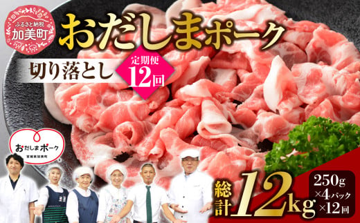 【12回 定期便】 【宮城県産ブランド豚】 おだしまポーク 切り落とし 250g×4パック×12回 計12kg ｜ 関精肉畜産 宮城県 加美町 肉 国産 冷凍 小分け 小間切れ 宮城県産 ブランド豚 豚肉 ポーク ｜44581349 653472 - 宮城県加美町