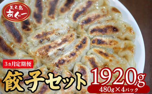 【3ヵ月定期便】　【美ら島あぐー】餃子セット1920ｇ【480g×4パック】 あぐー もっちり 沖縄 大宜味村 豚肉 小分け 国産 おつまみ こだわり ぶた アグー 加工品 おいしい 美味しい 取り寄せ 豚 肉 冷凍 まろやか 旨味 1836469 - 沖縄県大宜味村