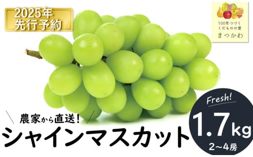 KG01-25A 【先行予約】ぶどう シャインマスカット 贈答 約1.7kg 種なし／ 2025年9月下旬～発送 // 長野県 南信州 松川町 葡萄 ぶどう ブドウ 産地直送 農家直送 シャインマスカット マスカット 種なし 皮ごと 贈答 果物 フルーツ 566768 - 長野県松川町