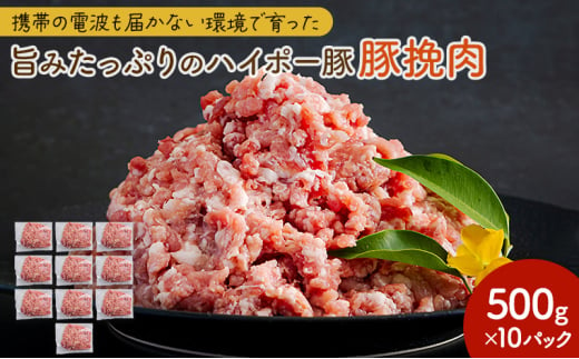 [№5681-0151]豚肉 山口県産 豚挽肉 500g×10パック 小分けセット | 携帯の電波も届かない環境で育った旨みたっぷりのハイポー豚 ひき肉 挽肉 豚 肉 お肉 ※配送不可:離島 1854687 - 山口県阿武町