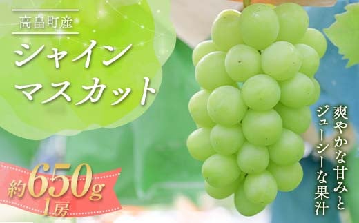 《2025年先行予約》山形県 高畠町産 シャインマスカット 約650g 1房 2025年9月下旬から順次発送 ぶどう ブドウ 葡萄 マスカット 大粒 種なし 高級 くだもの 果物 フルーツ 秋果実 産地直送 農家直送 数量限定 贈答 ギフト F21B-362 1840463 - 山形県高畠町