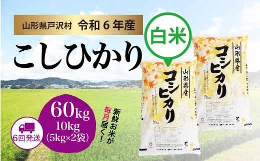 【令和6年産米】コシヒカリ ［白米］ 60kg 定期便（10kg×6回お届け）＜配送時期指定可＞ 1837689 - 山形県戸沢村