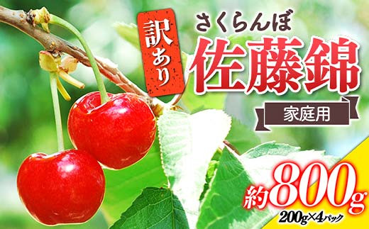 【令和7年産先行予約】 〈訳あり品 家庭用〉 さくらんぼ ｢佐藤錦｣ 約800g (200g×4パック Mサイズ) 《令和7年6月中旬～発送》 『田口農園』 サクランボ 生産農家直送 小分け 果物 フルーツ 山形県 南陽市 [1691] 541038 - 山形県南陽市