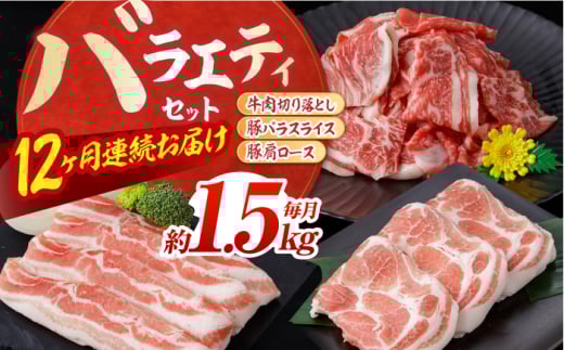 【12回定期便】お肉の定期便 バラエティセット (12ヵ月) 総計約18kg 国産 牛肉 切り落とし 豚肉 バラ スライス 【(有)山重食肉】 [ATAP118] 1838648 - 高知県高知市