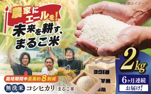 【全6回定期便】無洗米 コシヒカリ 滋賀県西浅井町産「まるこ米」2kg　滋賀県長浜市/ONE SLASH 株式会社[AQCZ014]  米 お米 白米 無洗米 こしひかり 2kg 地域 応援 定期便 1836992 - 滋賀県長浜市