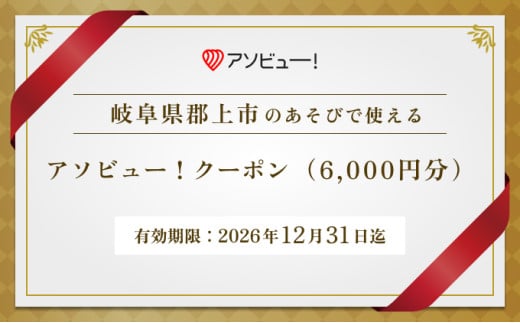 【郡上市】アソビュー！ふるさと納税クーポン（6,000円分）