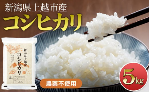 【新潟県上越市産　令和6年産】栽培期間中 農薬不使用コシヒカリ5kg 精米 米 1837760 - 新潟県上越市