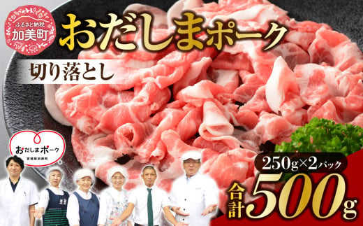 [宮城県産ブランド豚] 豚肉 おだしまポーク 切り落とし 250g×2 計500g [関精肉畜産 宮城県 加美町 44581346] 肉 国産 冷凍 小分け 小間切れ 宮城県産 ブランド豚 豚肉 ポーク