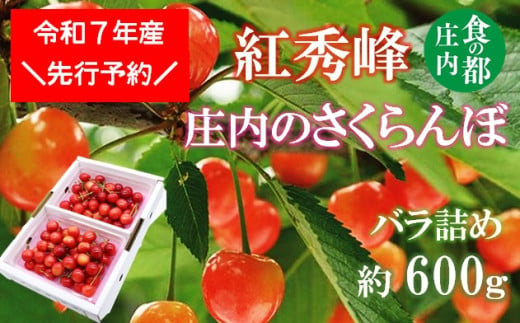 ★先行予約★食の都庄内　【令和7年産】庄内のさくらんぼ「紅秀峰」600gバラ詰め※令和7年6月中下旬～7月上旬頃発送予定