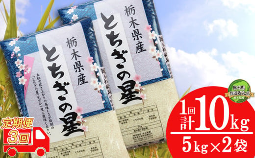 [栃木県共通返礼品・栃木県産][定期便3回]献上米 特Aを受賞! とちぎの星 10kg (5kg×2袋) | 白米 精米 お米 コメ ブランド米 栃木県 特産品 下野市 送料無料