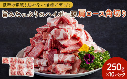 [№5681-0149]豚肉 山口県産 豚肩ロース 角切り 250g×10パック 小分けセット | 携帯の電波も届かない環境で育った旨みたっぷりのハイポー豚 豚 肉 お肉 ※配送不可:離島 1854685 - 山口県阿武町