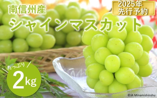 JA11-25A 【先行予約】ぶどう シャインマスカット2kg ／2025年9月中旬～10月中旬ごろ配送 贈答 // 長野県 南信州 シャイン マスカット 大粒 甘い 葡萄 人気 新鮮 厳選 贈答 606730 - 長野県松川町