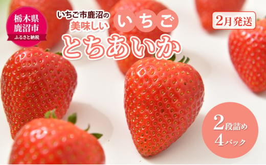 いちご市 鹿沼の 美味しい 「い」「ち」「ご」 とちあいか 2段詰め 4パック 【発送予定】2月1日～2月28日 いちご イチゴ 苺 フルーツ 果物 甘い うまい 日本一 品質 ビタミンC 果実 家庭用 鹿沼市 かぬま [№5840-2764] 1856601 - 栃木県鹿沼市