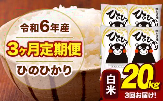 令和6年産 【3ヶ月定期便】 白米 米 ひのひかり 20kg《お申し込み月の翌月から出荷開始》熊本県 大津町 国産 熊本県産 白米 送料無料 ヒノヒカリ こめ お米 1582734 - 熊本県大津町
