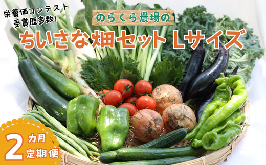 定期便２カ月　ちいさな畑セット（Lサイズ　３～４人前）（NK-T505） 836557 - 長野県佐久穂町