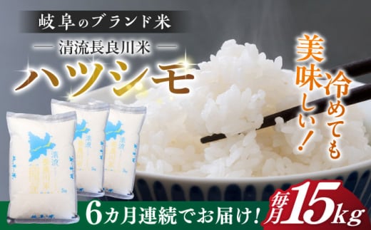 【6回定期便】 【R7年産】岐阜 ハツシモ 15kg 名水 100選に選ばれた 長良川 中流の水で育った 「清流長良川米」 すし飯 冷めても美味しい 米 岐阜市 / 森ライス [ANCU012]