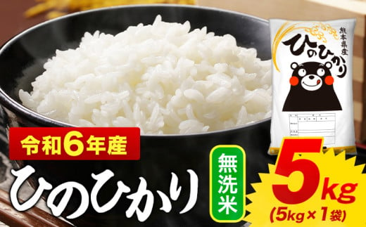 無洗米 ひのひかり 5kg 令和6年産 熊本県産 ふるさと納税 無洗米 精米 ひの 米 こめ ふるさとのうぜい ヒノヒカリ コメ お米 おこめ [2月上旬-2月末頃出荷予定]