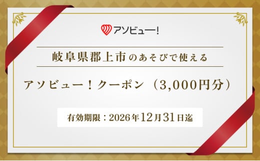 【郡上市】アソビュー！ふるさと納税クーポン（3,000円分） 1852464 - 岐阜県郡上市