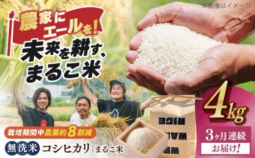 【全3回定期便】滋賀県西浅井町産コシヒカリ「まるこ米」4kg（2kg×2）　無洗米 滋賀県長浜市/ONE SLASH 株式会社[AQCZ037]  米 お米 白米 無洗米 こしひかり 4kg 地域 応援 定期便 1837013 - 滋賀県長浜市